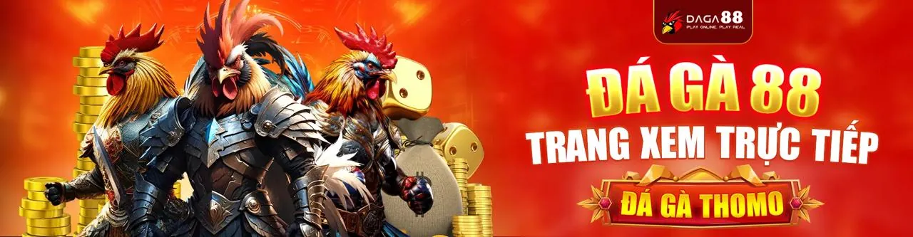 Đá gà trực tuyến tại 77 Ball Thể Thao